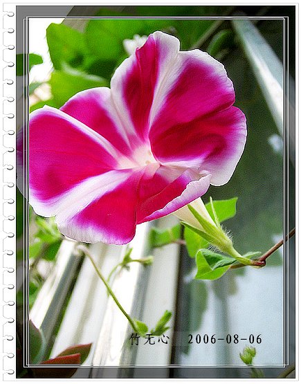 �ȵô�������...ֻ��̫������~