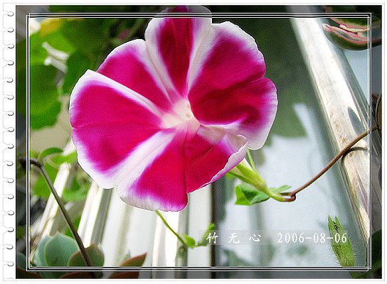 �ȵô�������...ֻ��̫������~