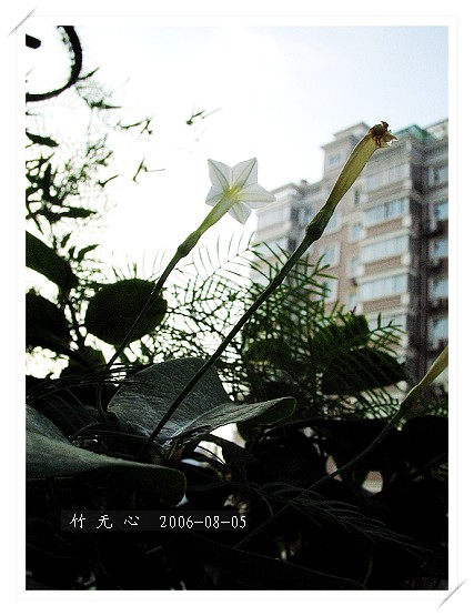 �ȵô�������...ֻ��̫������~