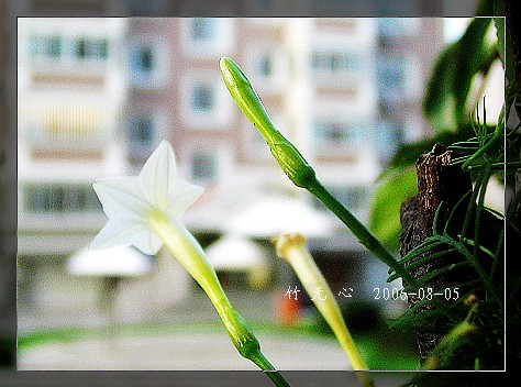 �ȵô�������...ֻ��̫������~