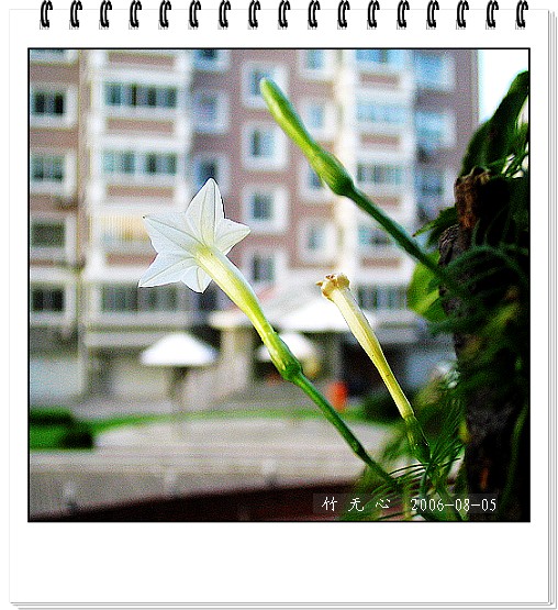 �ȵô�������...ֻ��̫������~