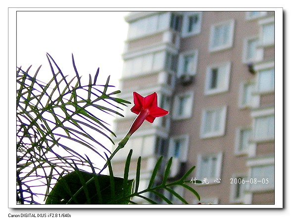 �ȵô�������...ֻ��̫������~