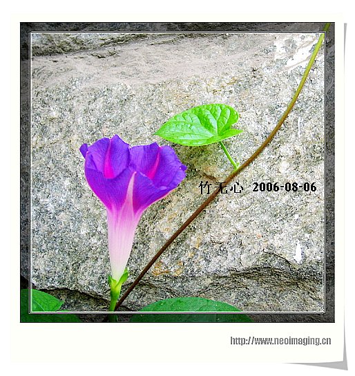 �ȵô�������...ֻ��̫������~