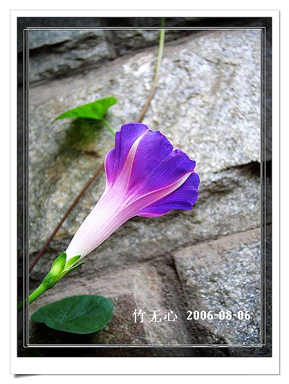 �ȵô�������...ֻ��̫������~