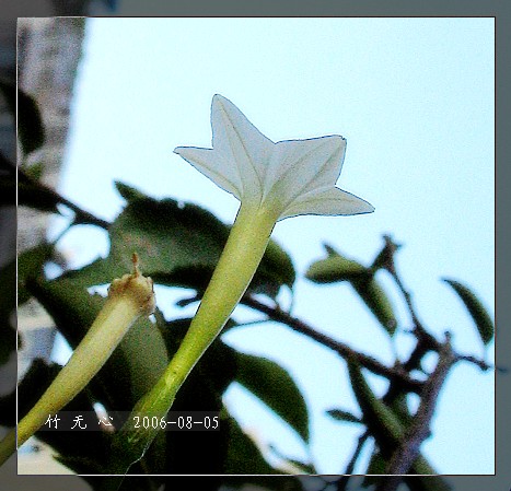 �ȵô�������...ֻ��̫������~