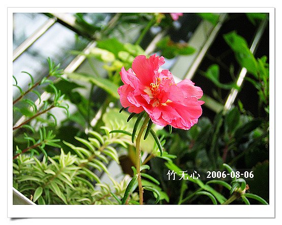 �ȵô�������...ֻ��̫������~