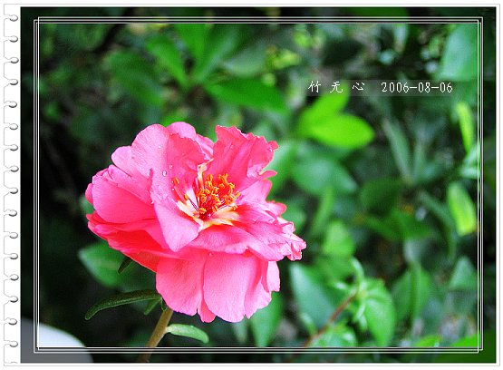 �ȵô�������...ֻ��̫������~