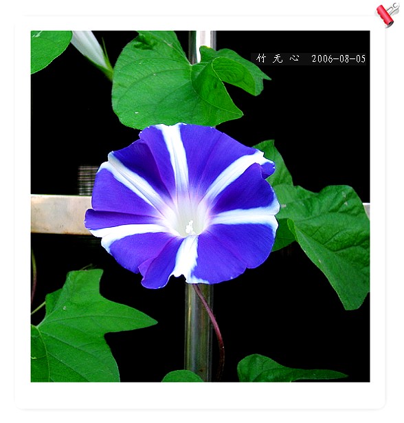 �ȵô�������...ֻ��̫������~