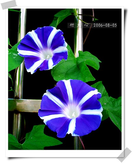 �ȵô�������...ֻ��̫������~