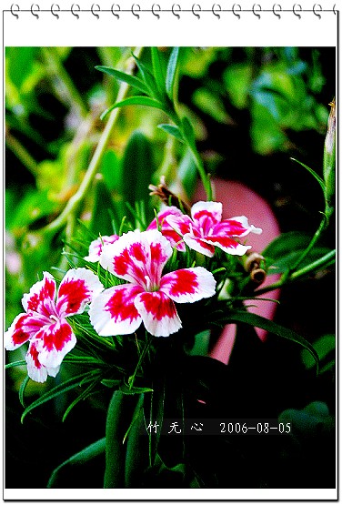 �ȵô�������...ֻ��̫������~