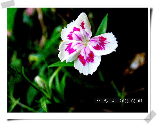 �ȵô�������...ֻ��̫������~