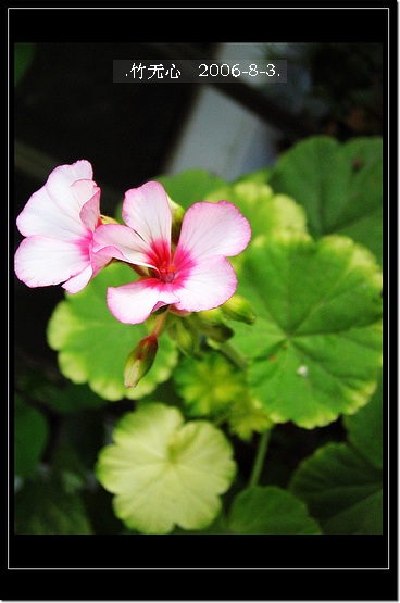 �ȵô�������...ֻ��̫������~