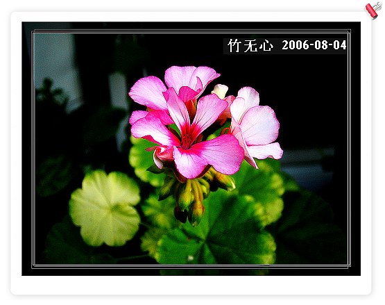 �ȵô�������...ֻ��̫������~