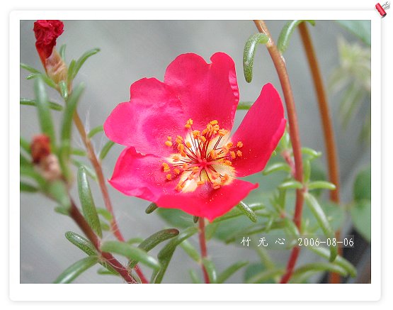 �ȵô�������...ֻ��̫������~