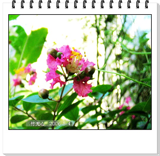 �ȵô�������...ֻ��̫������~