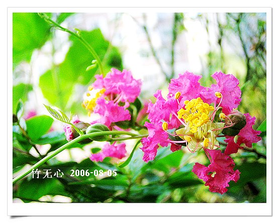 �ȵô�������...ֻ��̫������~