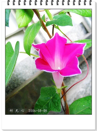 �ȵô�������...ֻ��̫������~