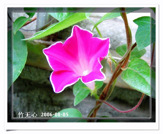 �ȵô�������...ֻ��̫������~