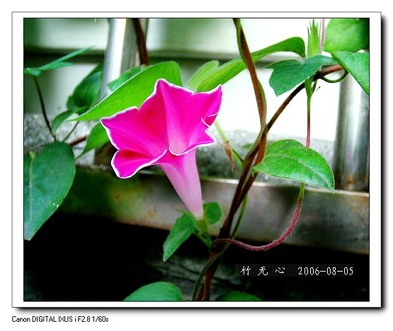 �ȵô�������...ֻ��̫������~