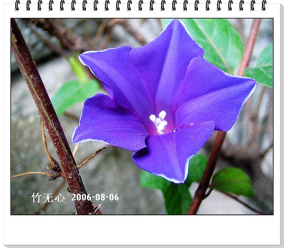 �ȵô�������...ֻ��̫������~