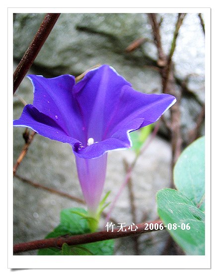 �ȵô�������...ֻ��̫������~