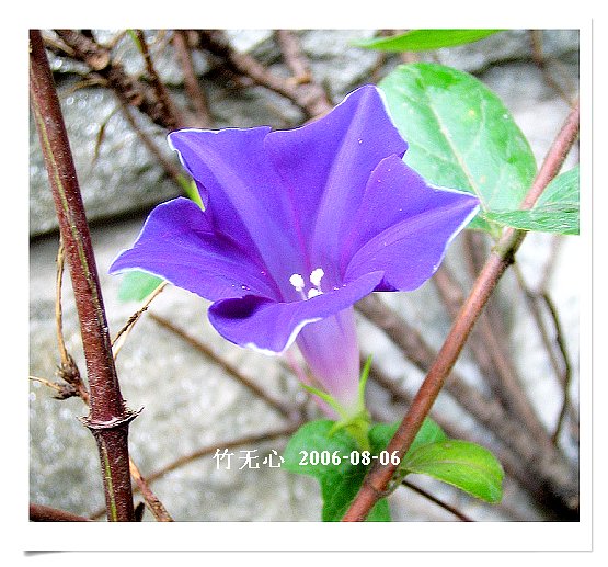 �ȵô�������...ֻ��̫������~