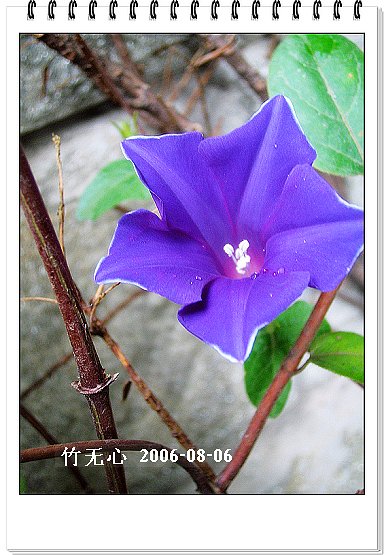 �ȵô�������...ֻ��̫������~