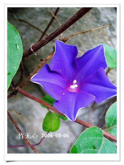 �ȵô�������...ֻ��̫������~