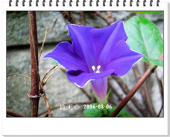 �ȵô�������...ֻ��̫������~