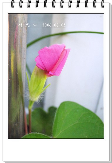 �ȵô�������...hoho,��۹�ţ~