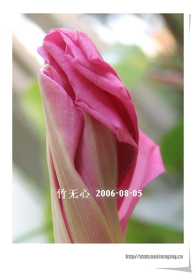 �ȵô�������...hoho,��۹�ţ~