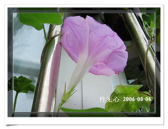 �ȵô�������...hoho,��۹�ţ~