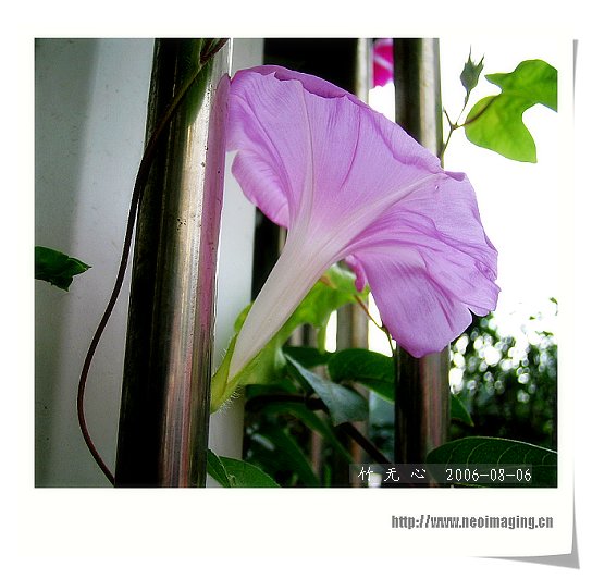 �ȵô�������...hoho,��۹�ţ~