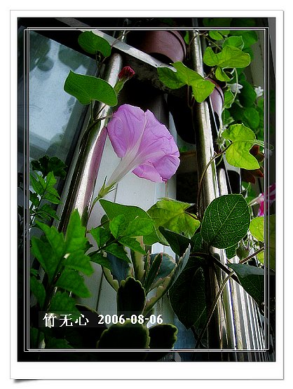 �ȵô�������...hoho,��۹�ţ~