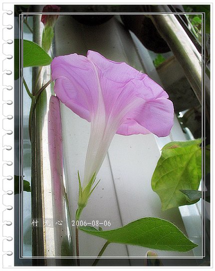 �ȵô�������...hoho,��۹�ţ~