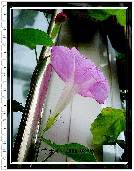 �ȵô�������...hoho,��۹�ţ~