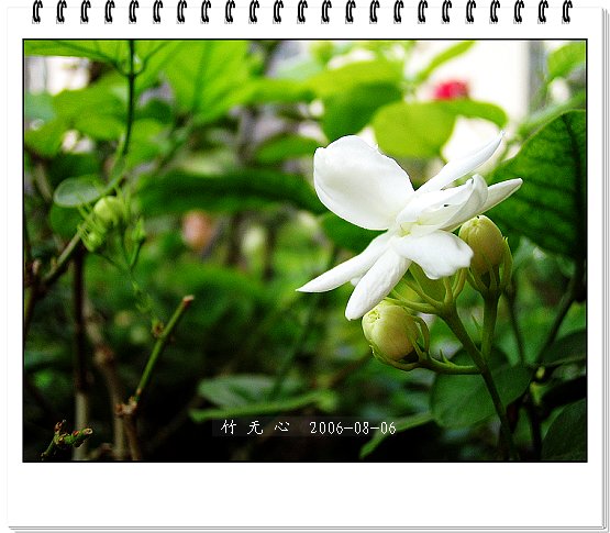 �ȵô�������...ֻ��̫������~