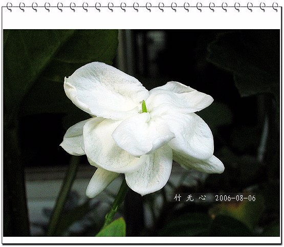 �ȵô�������...ֻ��̫������~