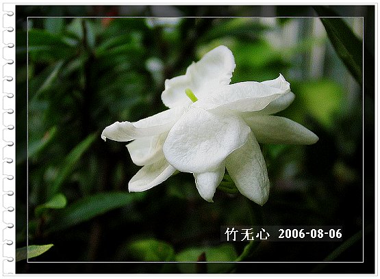 �ȵô�������...ֻ��̫������~