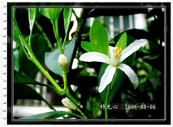 �ȵô�������...ֻ��̫������~