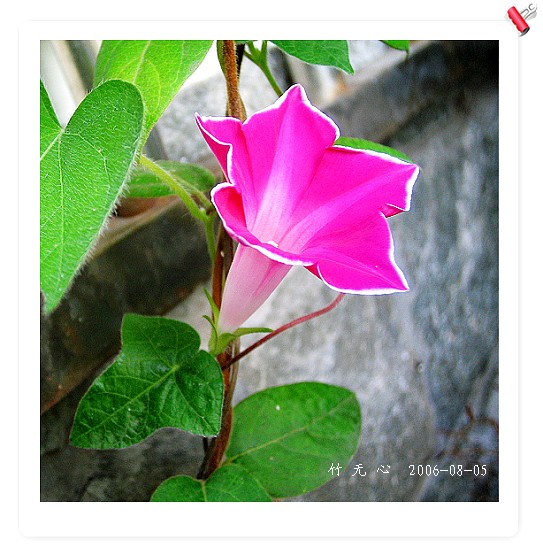 �ȵô�������...ֻ��̫������~