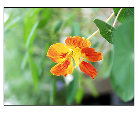 ��Ӱ��Ʒ�����������ң�8.18��ֹ