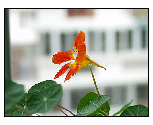 ��Ӱ��Ʒ�����������ң�8.18��ֹ