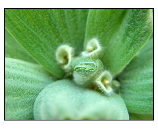 ��Ӱ��Ʒ�����������ң�8.18��ֹ