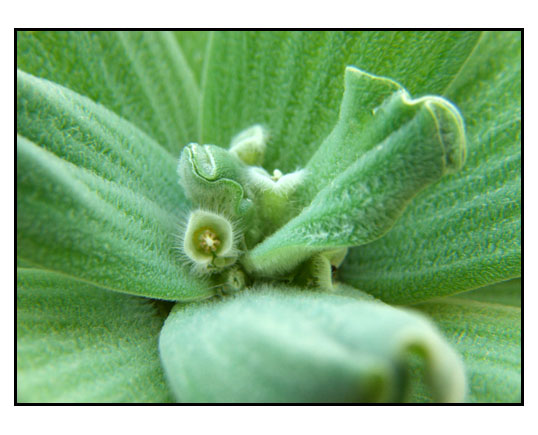 ��Ӱ��Ʒ�����������ң�8.18��ֹ