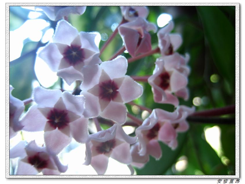 ��78�����̨(������)