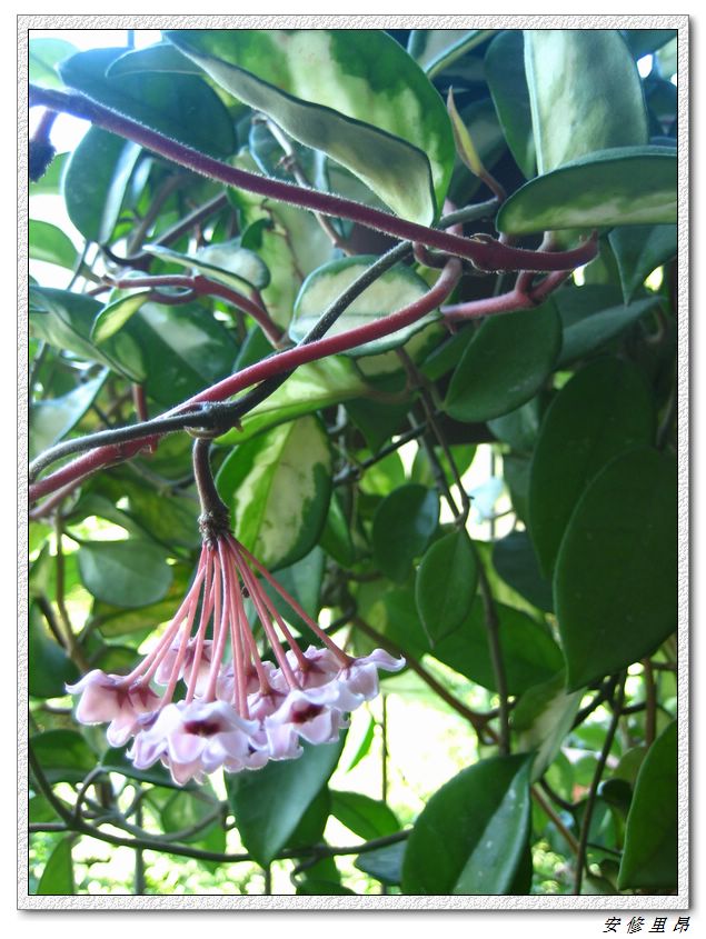 ��78�����̨(������)