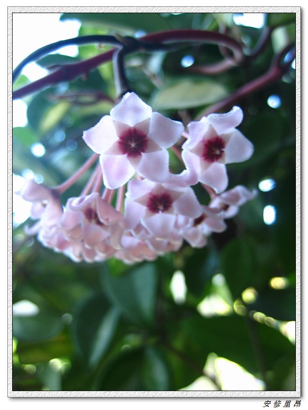 ��78�����̨(������)