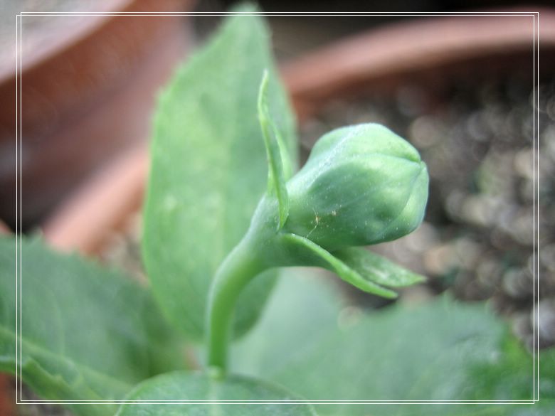 ��78�����̨(������)