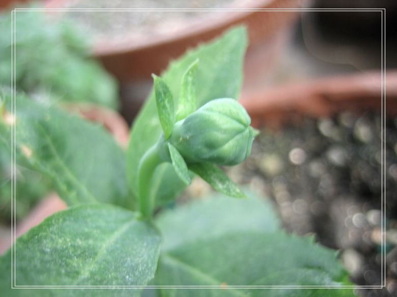 ��78�����̨(������)